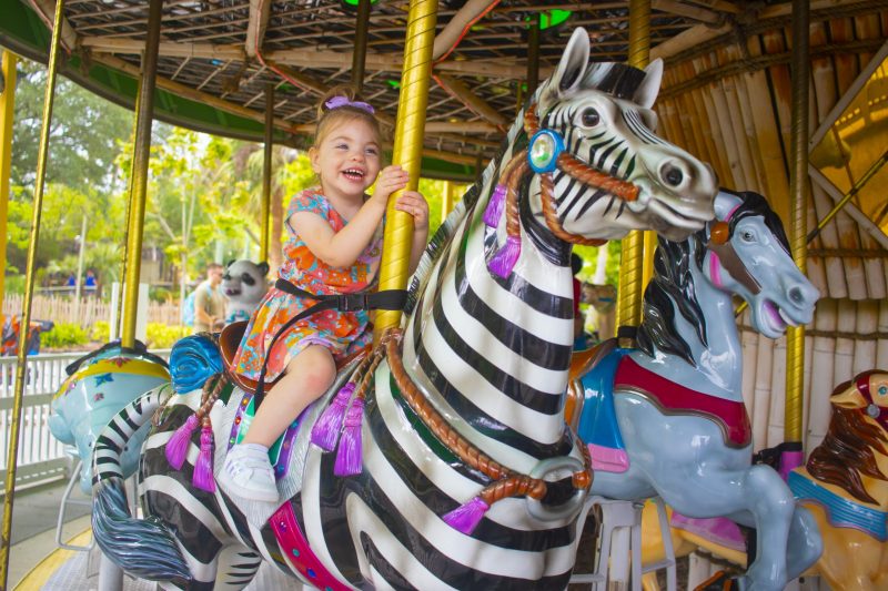 Explore The Zoo - ZooTampa at Lowry Park