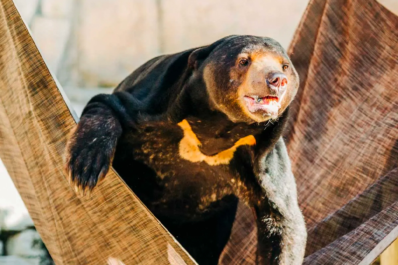 Explore The Zoo - ZooTampa at Lowry Park