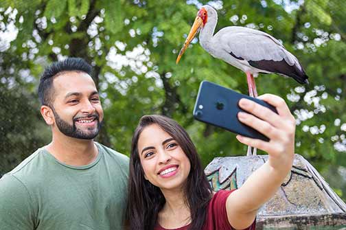 A couple takes a selfie with a large bird in an aviary at ZooTampa
