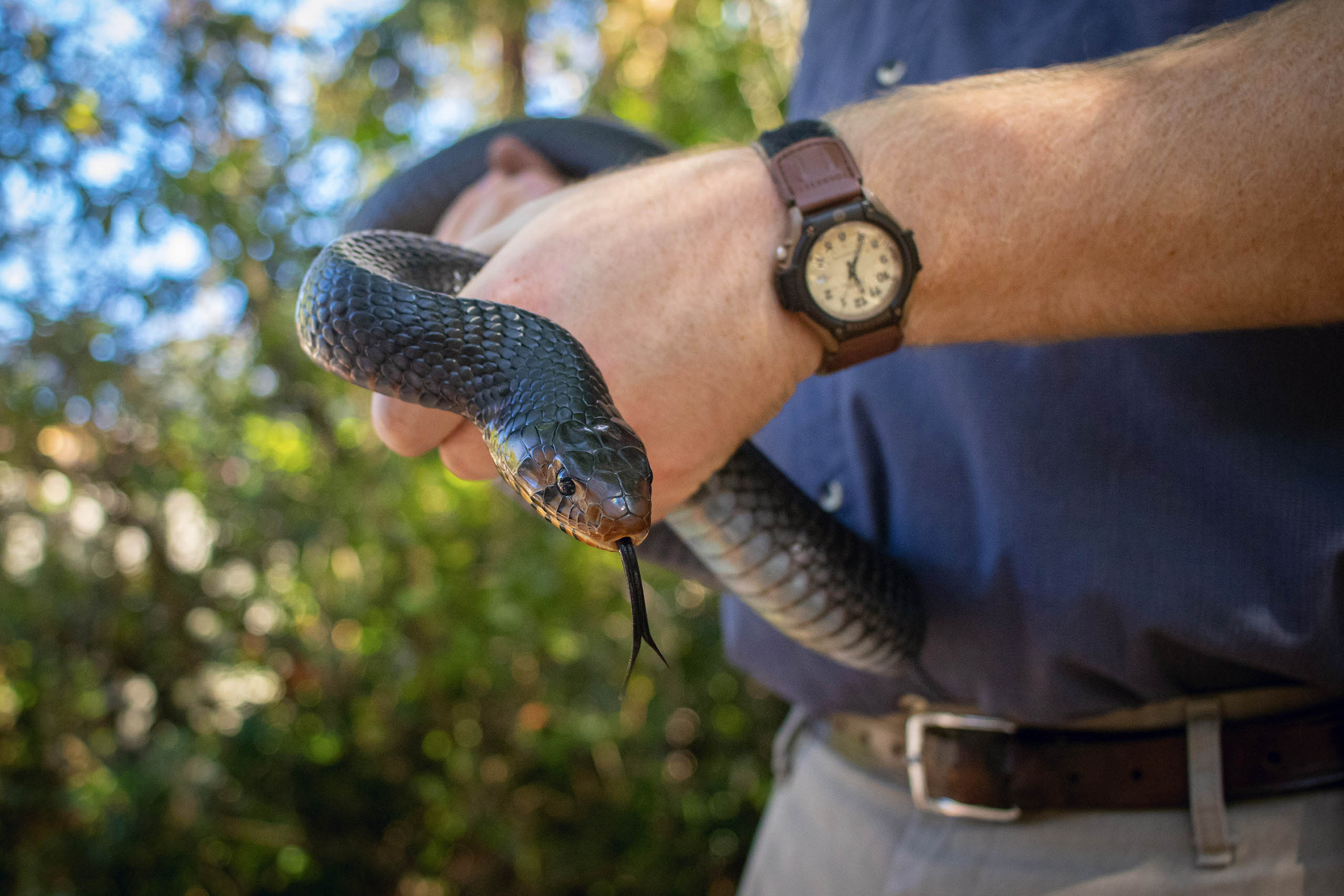Conservation - ZooTampa at Lowry Park