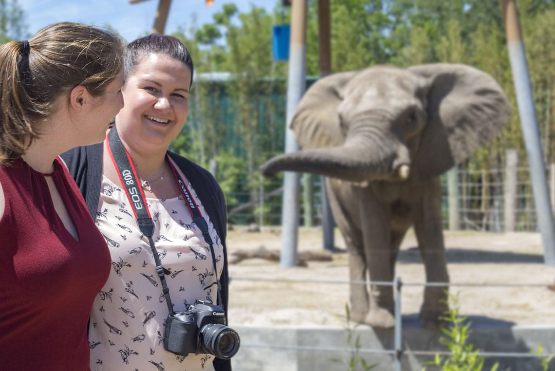 Explore The Zoo - ZooTampa at Lowry Park