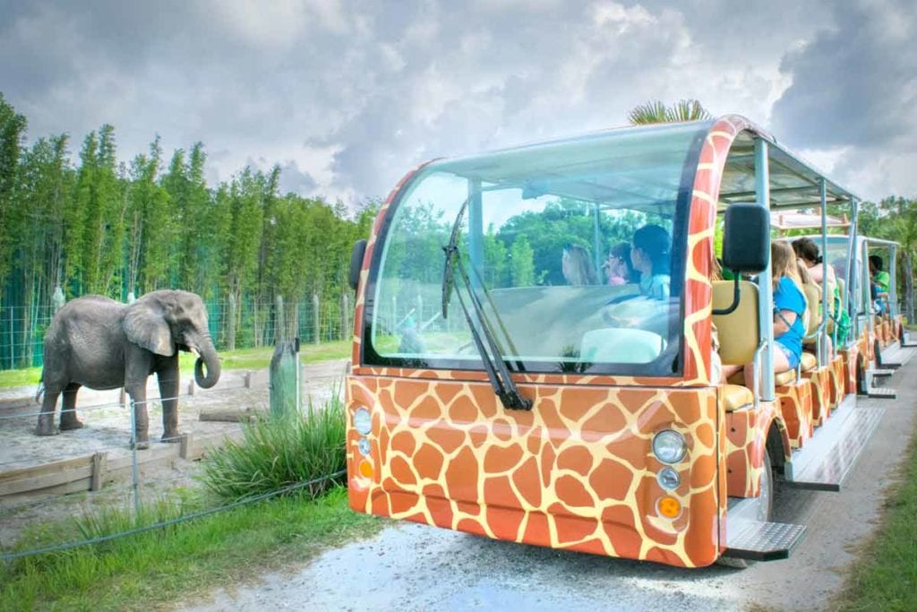 Expedition Africa Safari Tram Ride