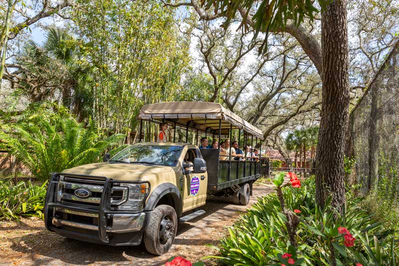 Expedition Wild Africa Safari Ride