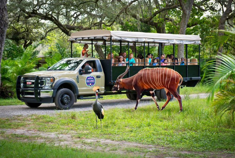 Explore The Zoo - ZooTampa at Lowry Park