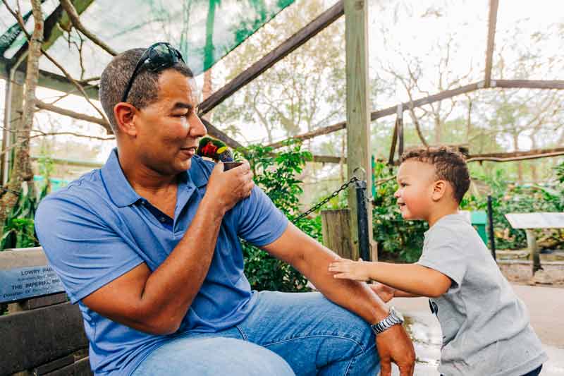Father and son feed lorikeets in the aviary at ZooTampa
