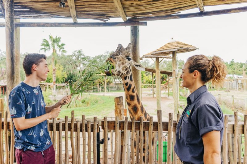 Explore The Zoo - ZooTampa at Lowry Park