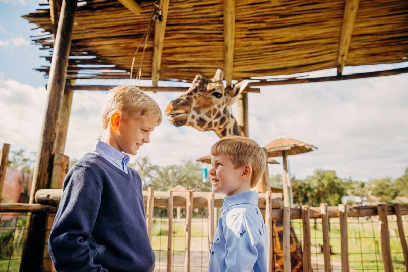 HolidayPhotos-GiraffeBoys-800x533