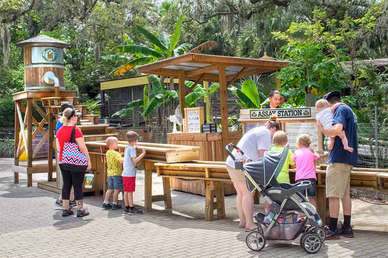 Parents and their kids sift through sand to find fools gold and other stones during the mining experience at ZooTampa