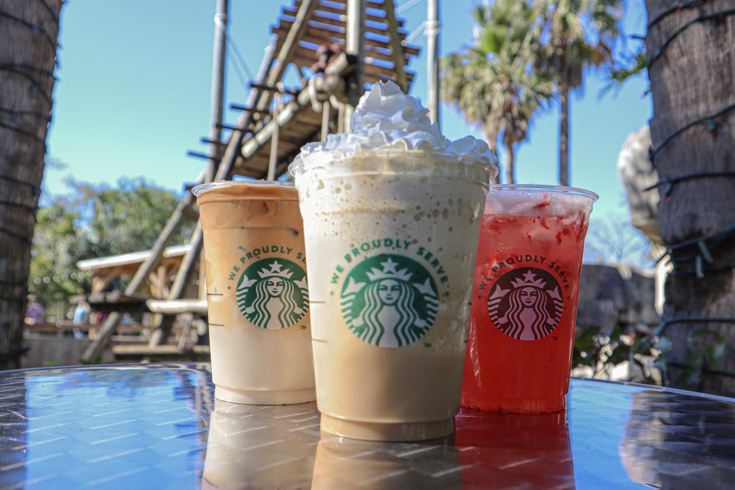 Explore The Zoo - ZooTampa at Lowry Park