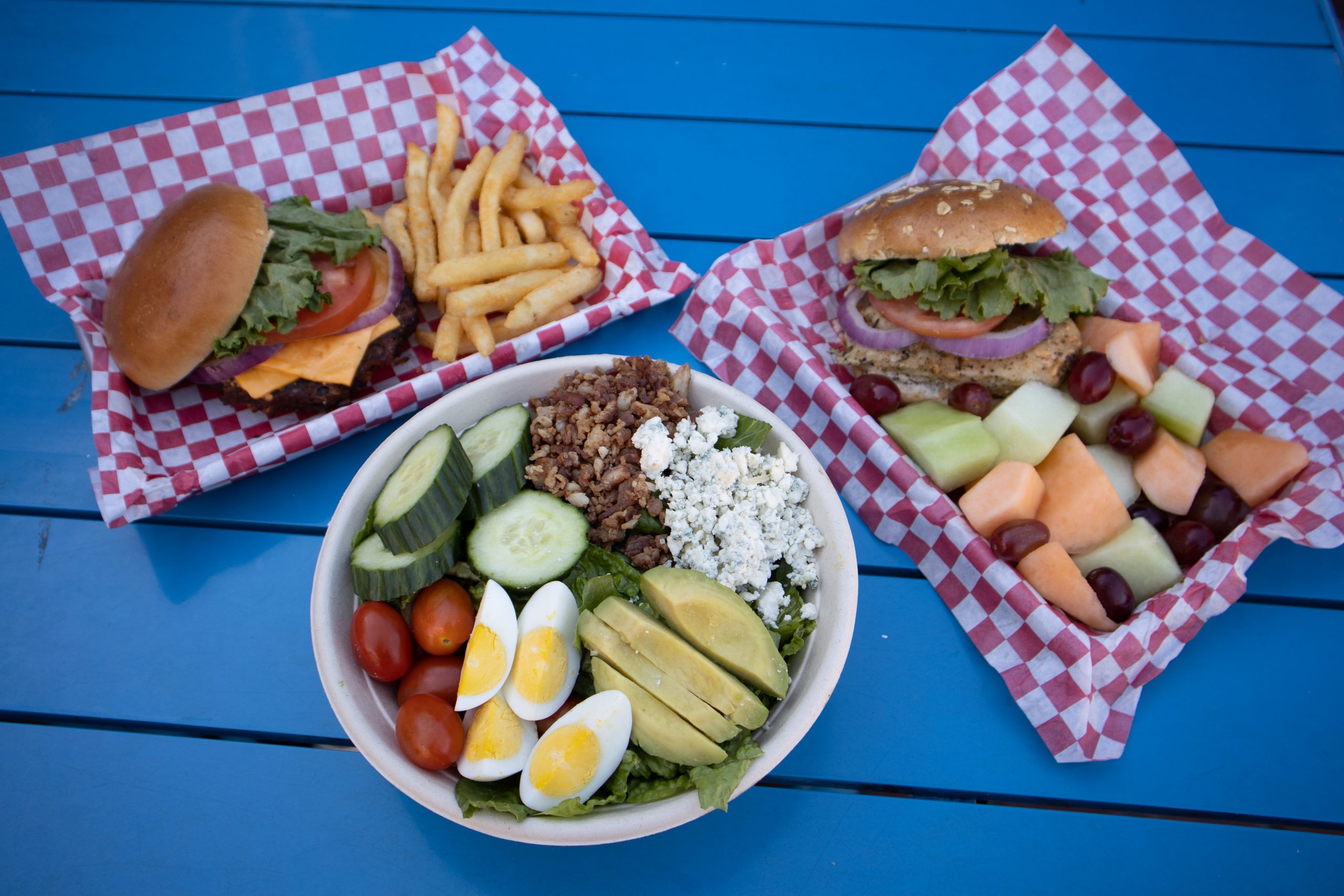 Explore The Zoo - ZooTampa at Lowry Park