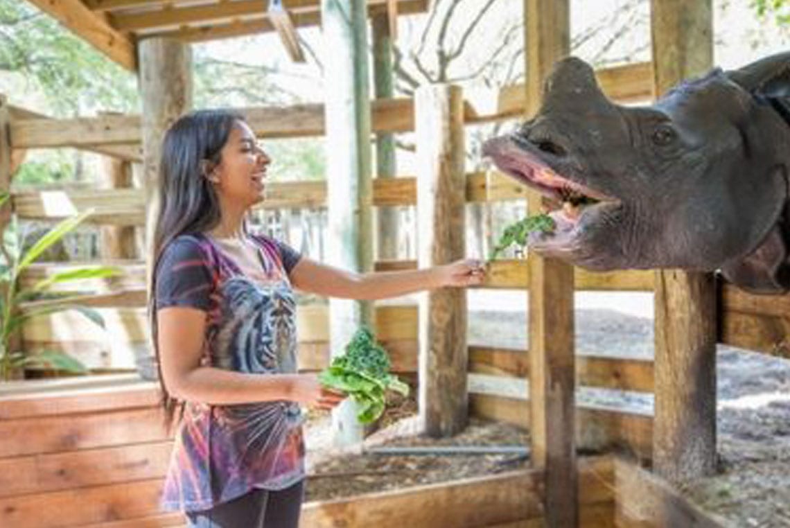 Explore The Zoo - ZooTampa at Lowry Park