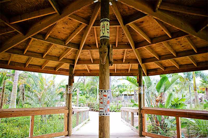 Ituri Forest event venue at the Zoo