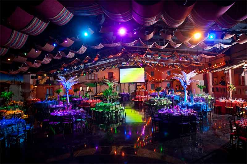 A look at the Savanna Oasis decorated indoor venue at the Zoo