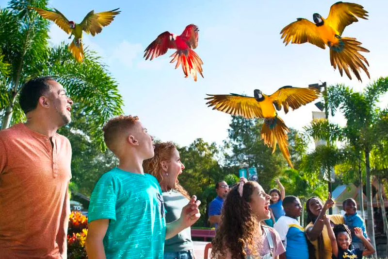 Explore The Zoo - ZooTampa at Lowry Park