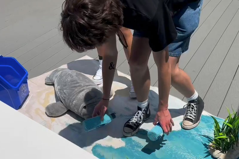 ManateeActivity-2-800x533