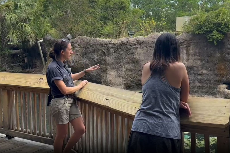 ManateeCove-KeeperChat-800x533