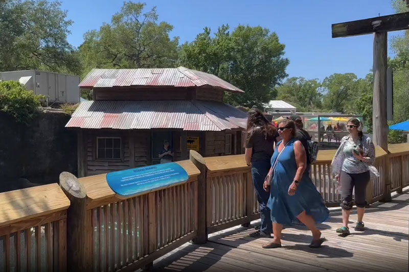 ManateeCove-overlook-800x533