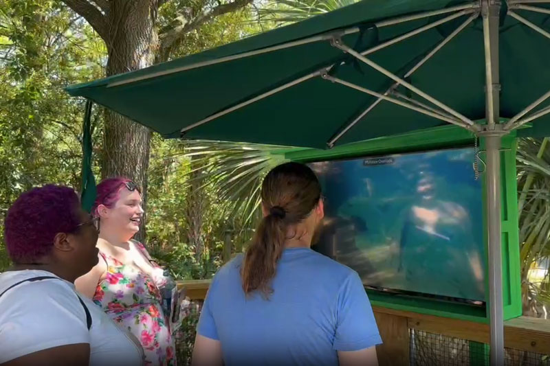 ManateeCove-UnderwaterCamera-800x533