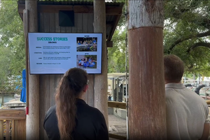 ManateeCove-WatchingPatientBoard-800x533