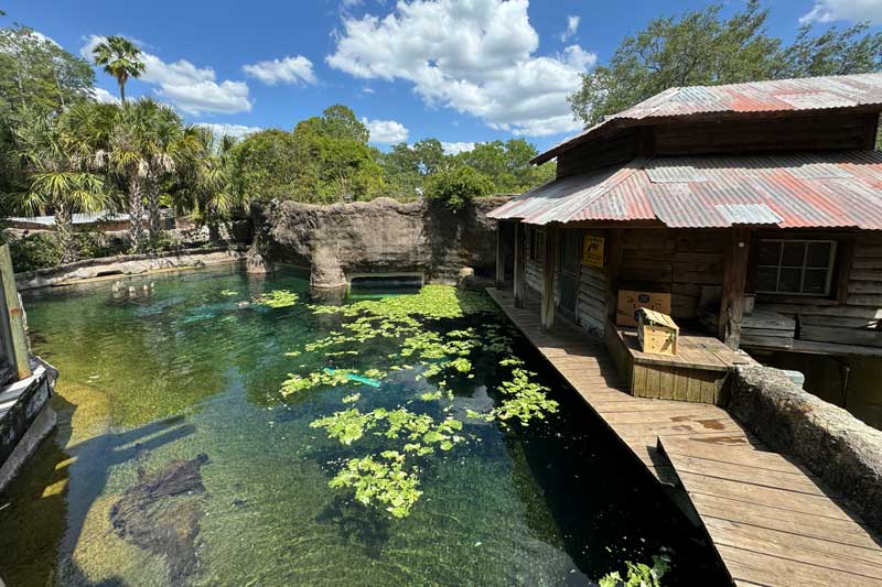 Explore The Zoo - ZooTampa at Lowry Park
