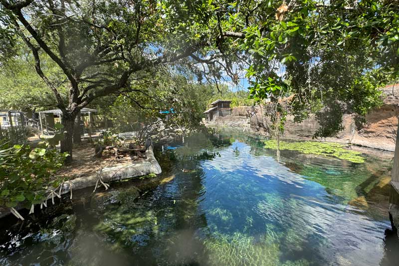 Explore The Zoo - ZooTampa at Lowry Park