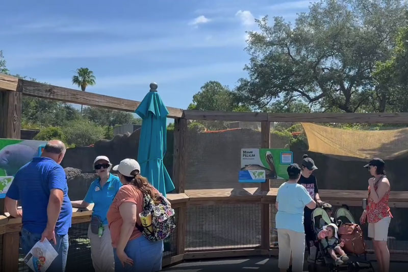 ManateeOverlook-VolunteerChat-800x533