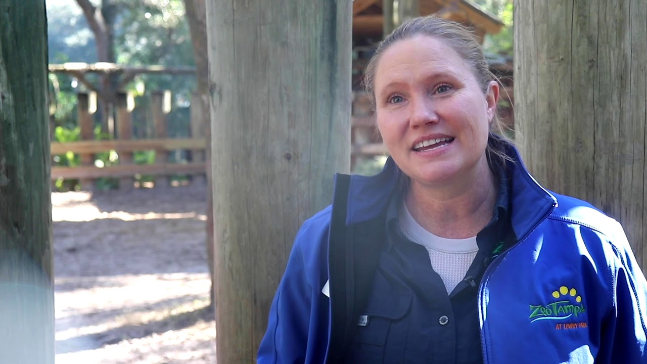 Working in the Animal Department at ZooTampa