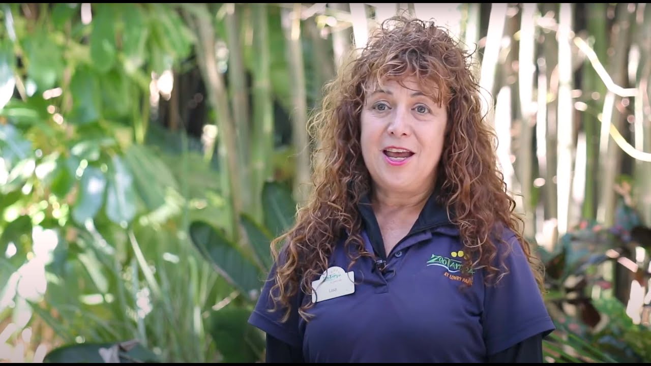 Working in Operations at ZooTampa