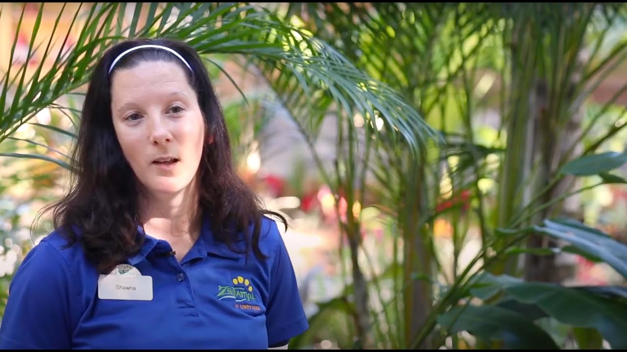 Working in Park Quality at ZooTampa