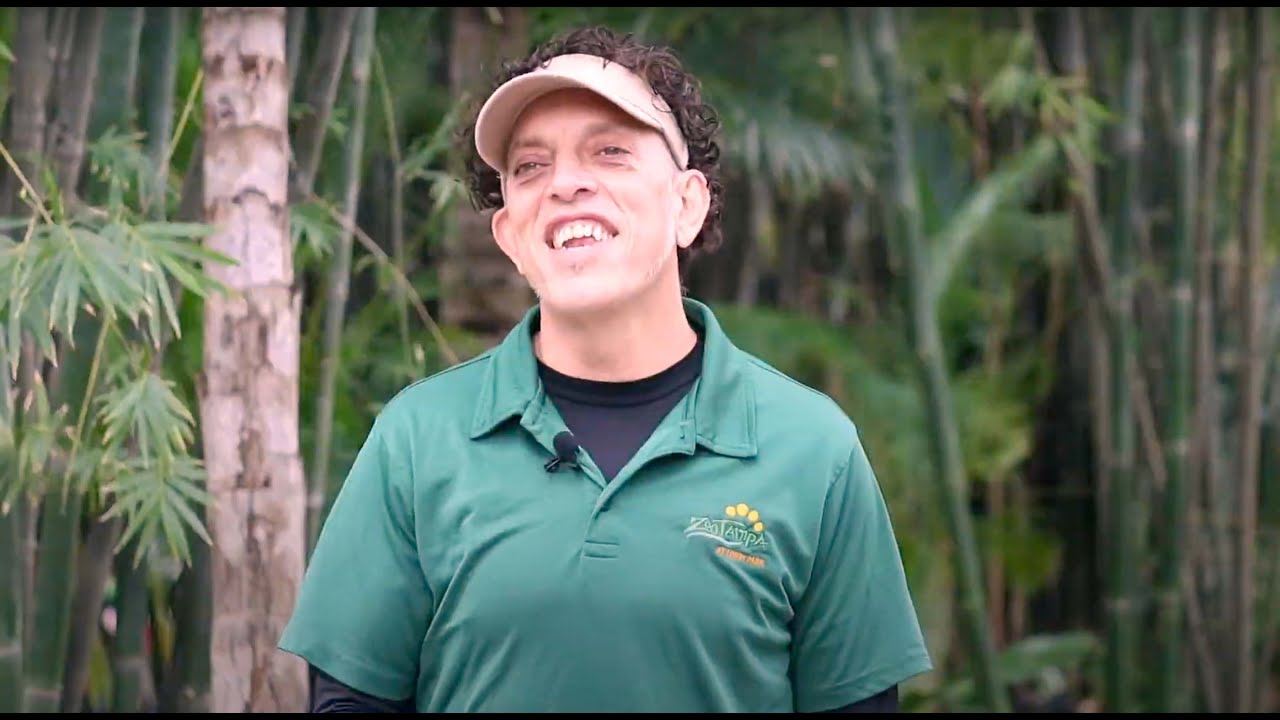 Working in Food Services at ZooTampa