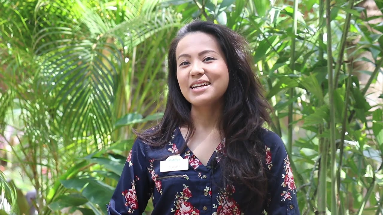 Working in Accounting at ZooTampa