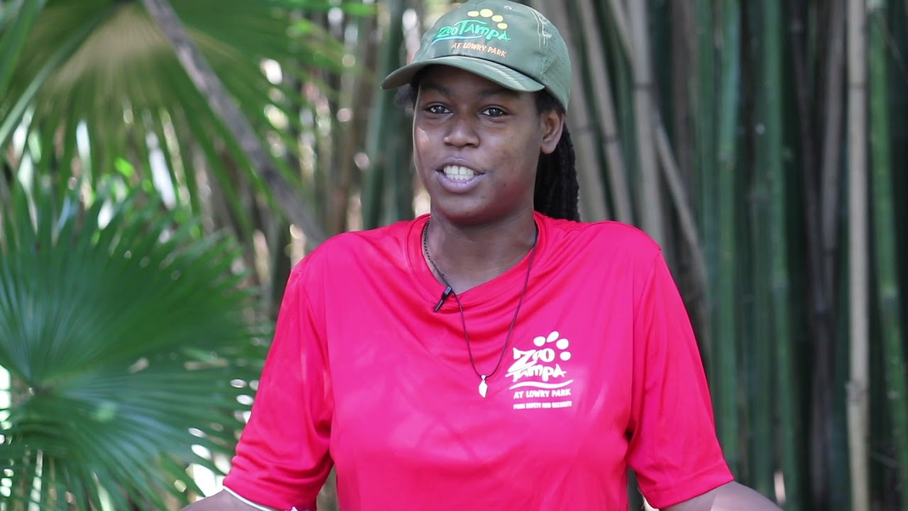 Working in Security at ZooTampa