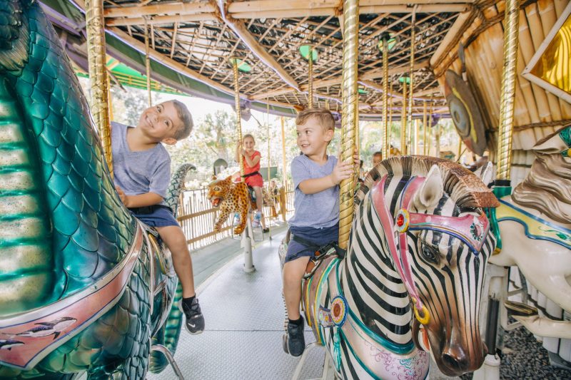 Explore The Zoo - ZooTampa at Lowry Park