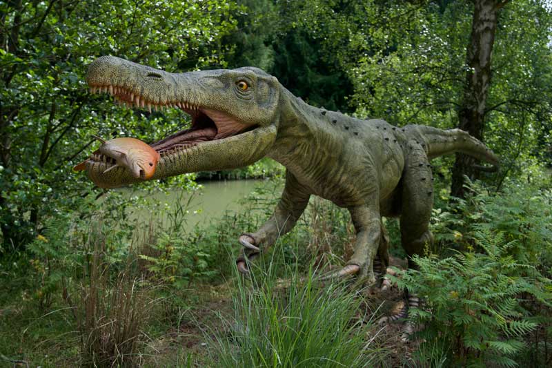 Baryonyx animatronic