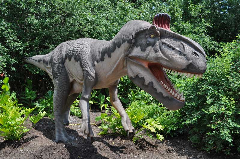 Cryolophosaurus animatronic
