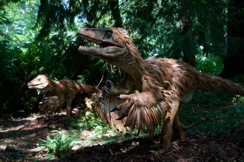 Deinonychus animatronic