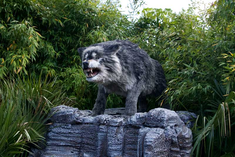 Dire wolf animatronic