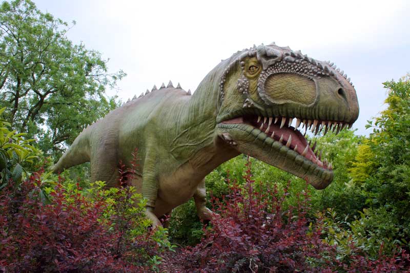 Giganotosaurus animatronics