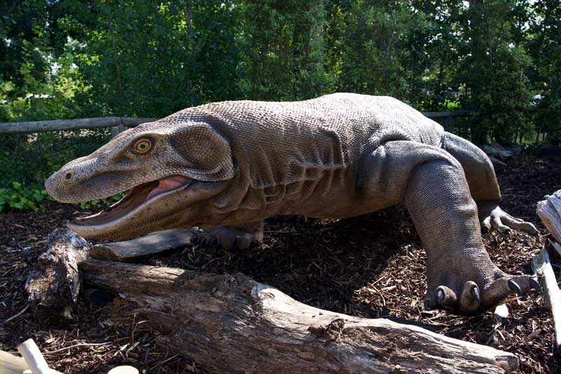 Megalania animatronic