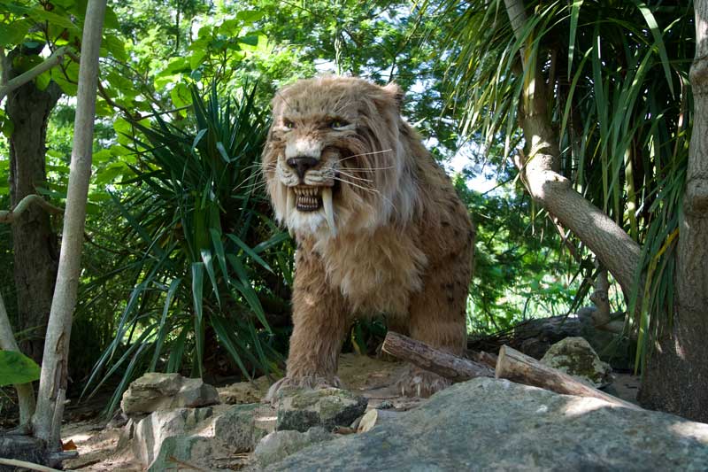 Smilodon animatronic