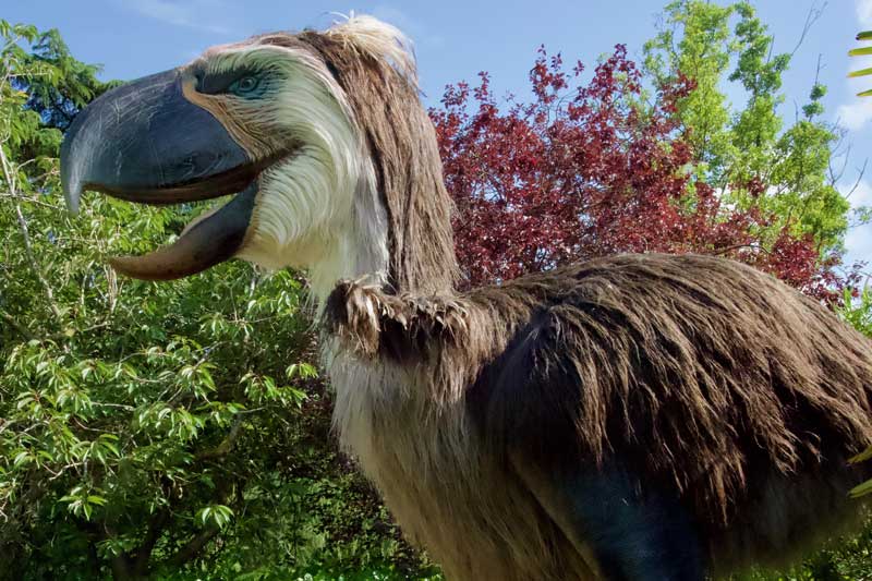 Terror bird animatronic