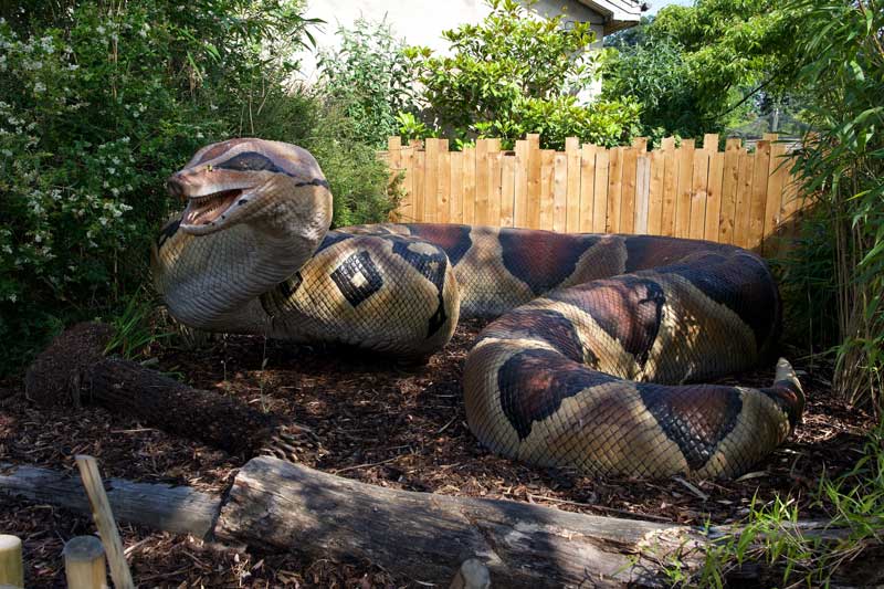Titanoboa animatronic