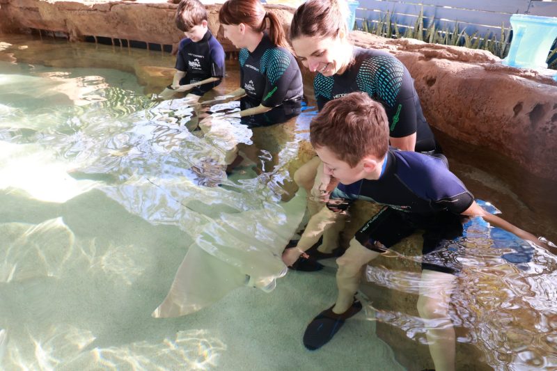 Encounters 2 PURP0490