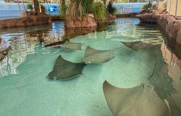 Explore The Zoo - ZooTampa at Lowry Park