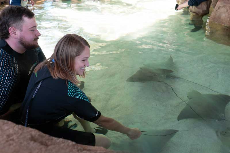 Encounters 1 StingrayEncounter-Julia+SO-800x533