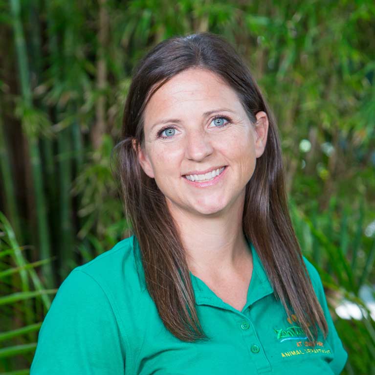 Tiffany Burns, Associate Curator