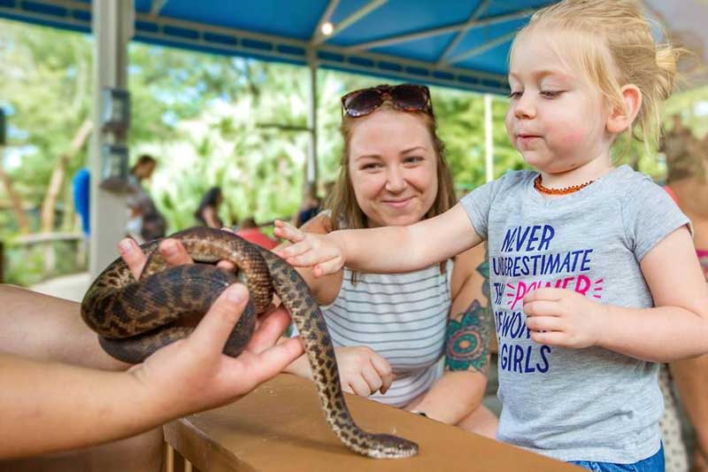 Member Exclusive: Toddler Tuesday June 1 Member Exclusive: Toddler Tuesday June - ZooTampa at Lowry Park