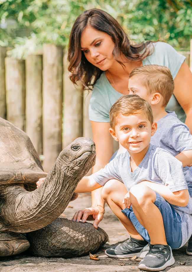 Aldabra Giant Tortoise 4 A mom and her young boys kneel down to pet an Aldabra Tortoise during a Signature Encounter at ZooTampa
