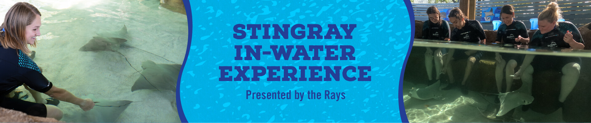 What's New at the Zoo? - ZooTampa at Lowry Park