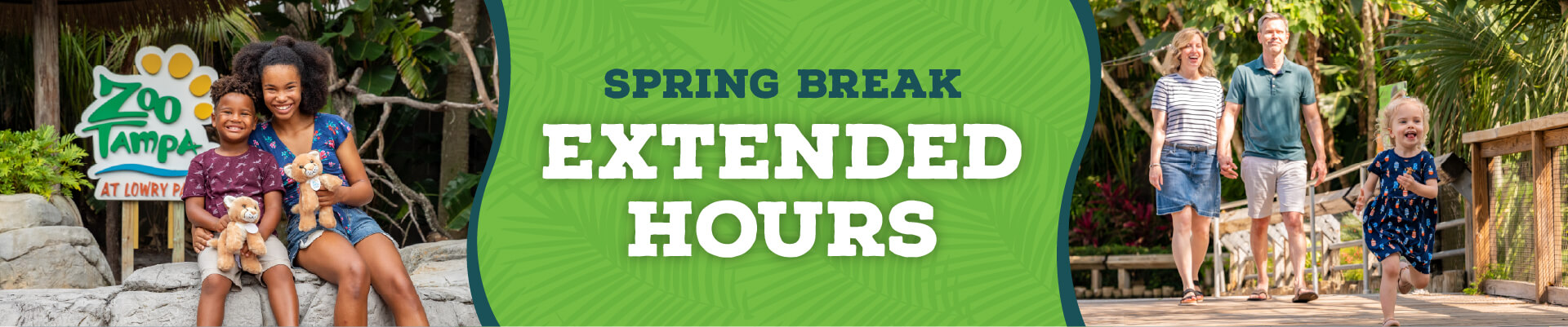 What's New at the Zoo? - ZooTampa at Lowry Park